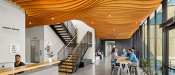 校園大廳裝修設計熱潮漸顯  國內(nèi)學校能借鑒就牛逼了